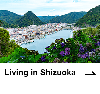 Living in Shizuoka